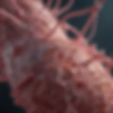 Magnificent The Connection Between BRCA1 and Cancer: An In-Depth Exploration