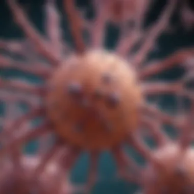 Magnificent The Role of Sphingosine 1 Phosphate Antibodies in Cellular Mechanisms Magnificent The Role of Sphingosine 1 Phosphate Antibodies in Cellular Mechanisms
