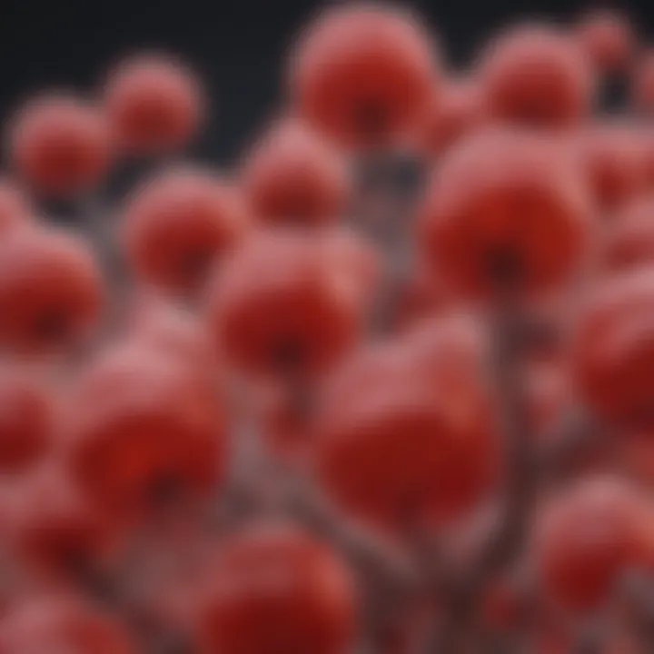 Magnificent Understanding Erythrose 4 Phosphate: A Key Metabolite in Biochemical Pathways