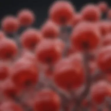 Magnificent Understanding Erythrose 4 Phosphate: A Key Metabolite in Biochemical Pathways Magnificent Understanding Erythrose 4 Phosphate: A Key Metabolite in Biochemical Pathways