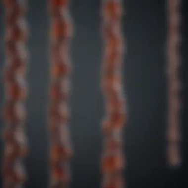 Notable A Comprehensive Analysis of the 13th Chromosome