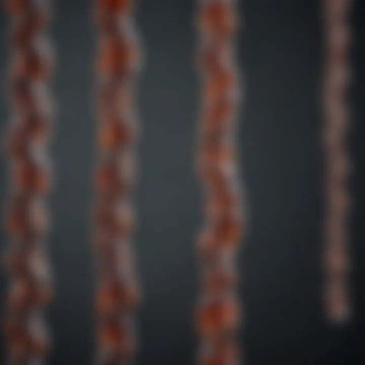 Notable A Comprehensive Analysis of the 13th Chromosome
