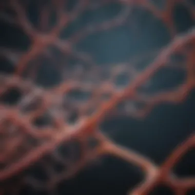 Graphical representation of molecular pathways involved in the progression of motor neuron disease.