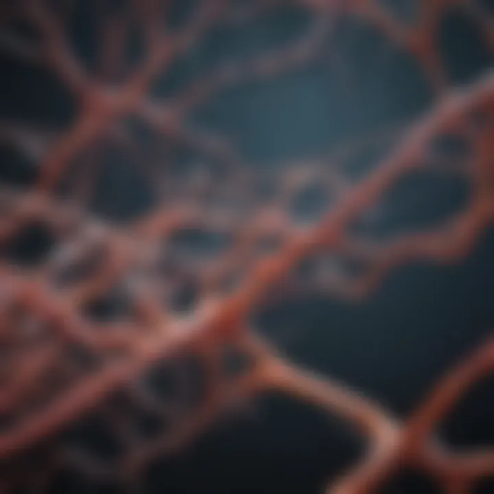 Graphical representation of molecular pathways involved in the progression of motor neuron disease.