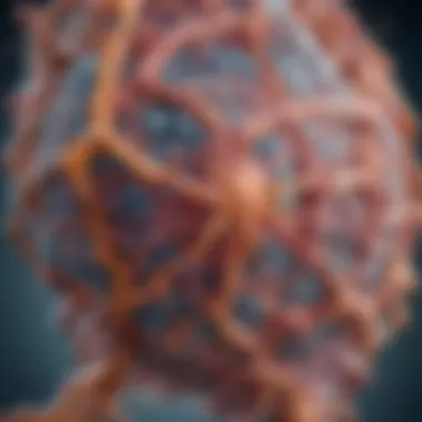 Detailed Structure of Alpha-Galactosidase Alpha-galactosidase enzyme structure