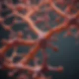 Molecular structure of amyloid proteins