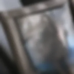 Innovative ammonia advertising campaign showcasing diverse applications