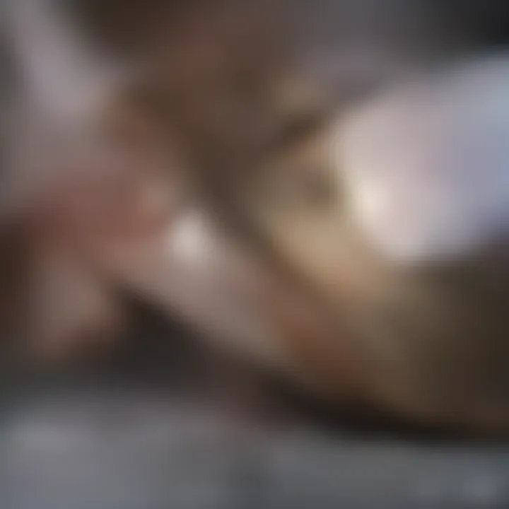 Detailed anatomy of a fish showcasing its unique biological features.