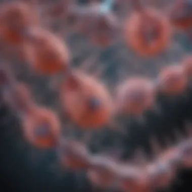 Notable An In-Depth Exploration of Pro Caspase 3: Functions, Mechanisms, and Implications in Cellular Biology Notable An In-Depth Exploration of Pro Caspase 3: Functions, Mechanisms, and Implications in Cellular Biology