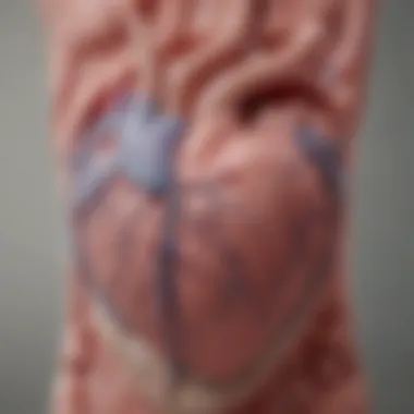 Types of Atrial Ablation Methods A graphical representation of the different types of ablation methods used in heart treatment.