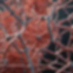 Chemical structure of TMB substrate