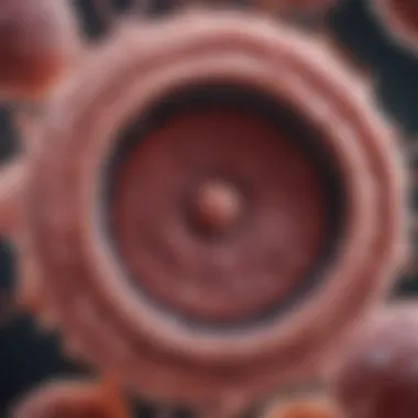Microscopic Examination of Tumor Characteristics Microscopic view of bladder tissue with tumor characteristics