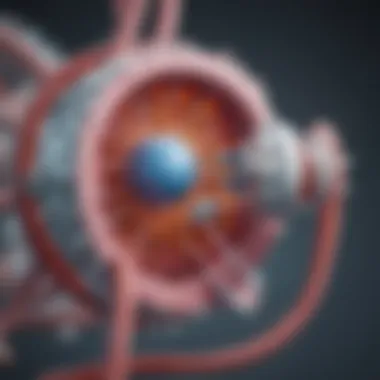 Diagram showcasing the mechanism of collagenase therapy