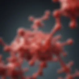 Molecular structure of erythropoietin protein