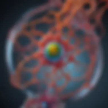 Role of PDB in Computational Biology Chart showing the role of PDB in computational biology