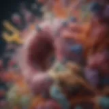Illustration of gut microbiota diversity