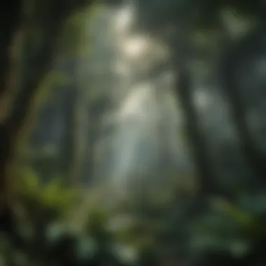 Diversity of Rainforest Canopy Lush rainforest canopy showcasing diverse plant species