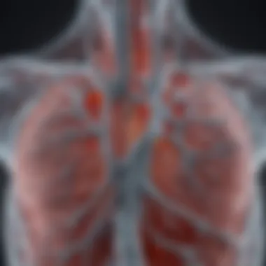 Workflow of CT Pulmonary Angiography Visual representation of CT pulmonary angiography workflow