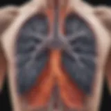 High-resolution CT scan showcasing lung abnormalities
