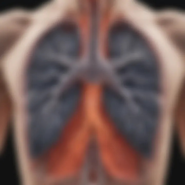 High-resolution CT scan showcasing lung abnormalities