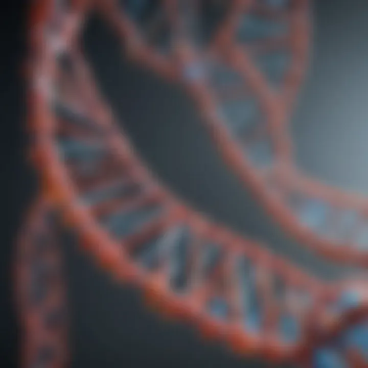 Visual representation of DNA digestion applications in biotechnology.
