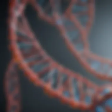Biotechnology Applications of DNA Digestion Visual representation of DNA digestion applications in biotechnology.