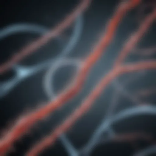 Visualization of sperm DNA structure