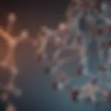 Chemical structure of BPA and its potential effects