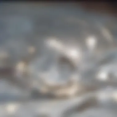 Specimen Visualization Through Epi Illumination Microscopic view of a specimen illuminated by epi light
