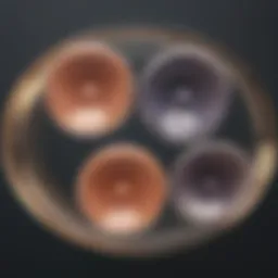 Diverse diaphragm contraceptives displayed for comparison