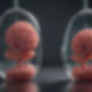 A graph illustrating the accuracy rates of various fetal dopplers based on research findings.