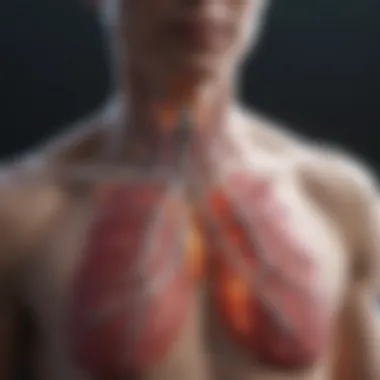 Diagram showing technological advancements in lung preservation