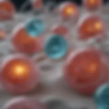Biochemical Interactions of Hydrogel Capsules Illustration depicting biochemical interactions of hydrogel capsules in the digestive system