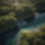 Aerial view of diverse coastal ecosystems showcasing mangroves and coral reefs