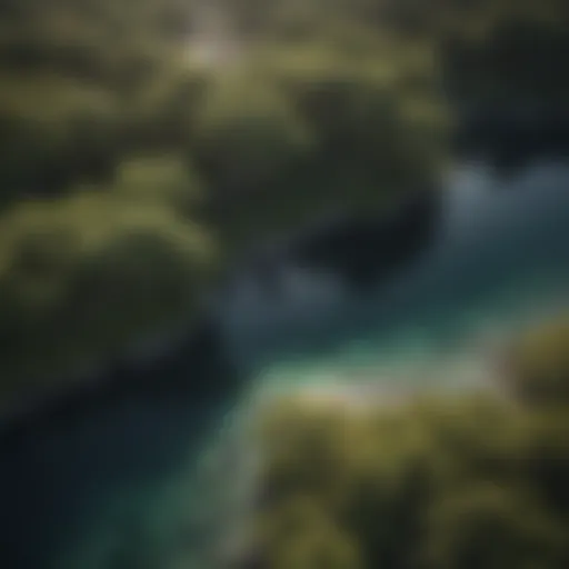 Aerial view of diverse coastal ecosystems showcasing mangroves and coral reefs