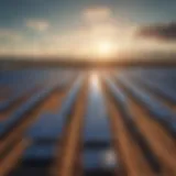A vibrant solar farm showcasing renewable energy potential.