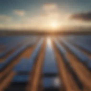 Renewable Energy: The Power of Solar Farms A vibrant solar farm showcasing renewable energy potential.
