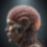 A conceptual illustration depicting the mechanism of full brain radiation