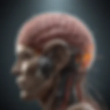 A conceptual illustration depicting the mechanism of full brain radiation