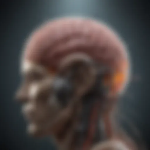 A conceptual illustration depicting the mechanism of full brain radiation