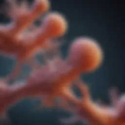 Microscopic view of primary fibroblasts showcasing their distinct morphology
