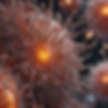 Cellular Structures in Focus Visual representation of cellular structures in biology