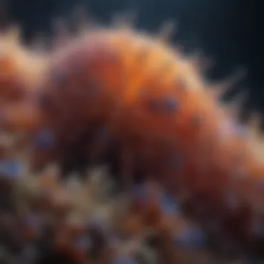 Microbial Response to Far UV Exposure Impact of far UV light on microbial organisms