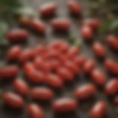 Close-up of ginseng capsules with herbal ingredients around them