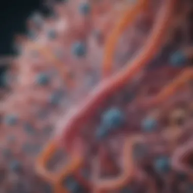 Diversity of Bacterial Species in the Vaginal Microbiome A microscopic view of diverse bacterial species in the vaginal microbiome.