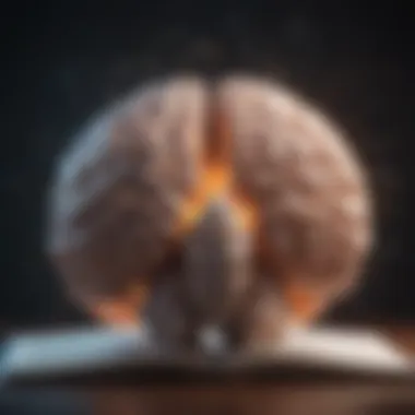 Brain activity during reading Illustration of brain activity while reading