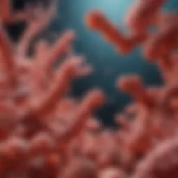 Exploring the Role of FOXO3A Antibody in Cellular Function Introduction