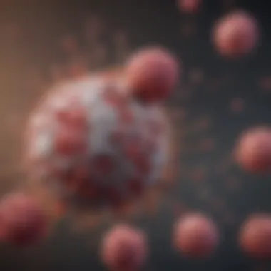Infographic outlining the types of tumor vaccines
