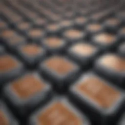 Detailed cross-section of a vanadium battery showcasing its components and functionality.