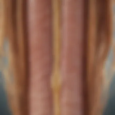 Understanding Hair Shaft Anatomy Illustration depicting the structure of a hair shaft highlighting its layers.